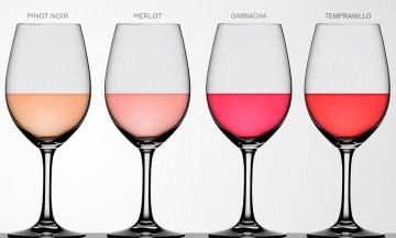 Identifica tu vino
