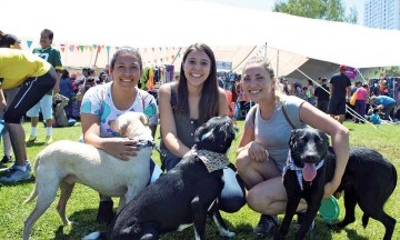 Acuden a festival dedicado a las mascotas