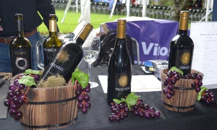 Ofrecen experiencia única con vinos mexicanos