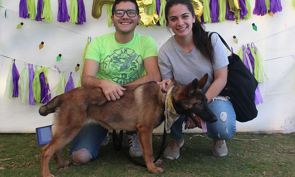 Celebran festival para las mascotas