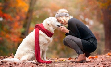 Cómo cuidar a tu perro si tiene una enfermedad cardiaca