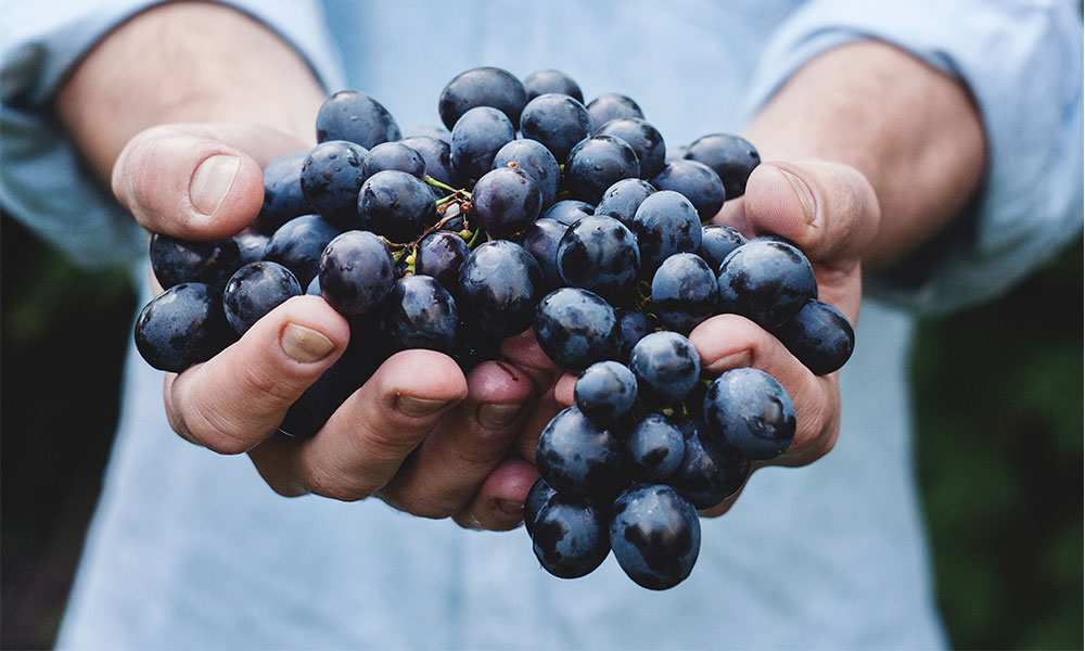 ¿Cómo elegir un buen vino tinto?