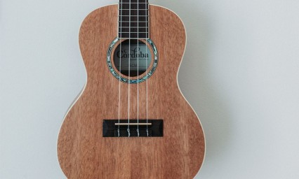 La Guitarra: Idea Millonaria