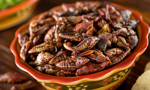 Alimentos elaborados con chapulines