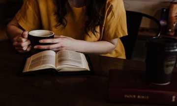 Libros para toda la familia 