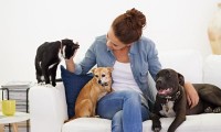 ¿Cómo mantener limpia tu casa si tienes mascotas?