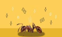 ¿Cómo disminuir gastos hormiga?