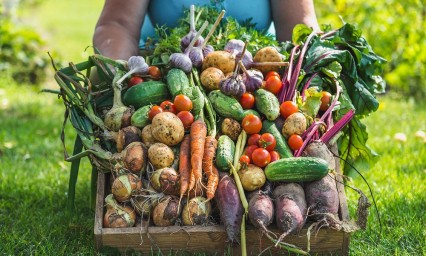 Cinco verduras de temporada 