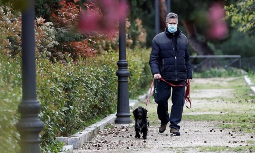 Cuidados de tu mascota para la nueva normalidad