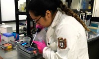 Científicos del IPN buscan prevenir cáncer gástrico a través de análisis de bacteria