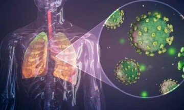 Así es como la covid-19 daña los pulmones según un estudio