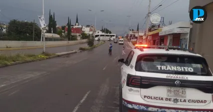 Lluvias derriban cinco &aacute;rboles en Puebla; prev&eacute;n m&aacute;s durante la madrugada