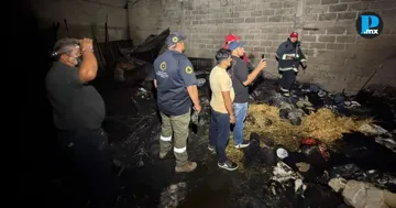 Protecci&oacute;n Civil atiende incendio en bodega de productos navide&ntilde;os en Tlanepantla