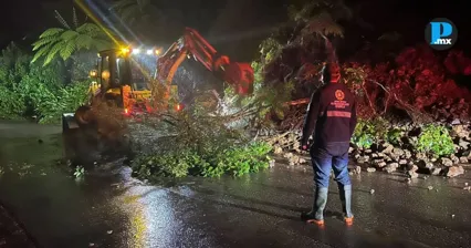  Zapotitl&aacute;n, Tlatlauquitepec y otros municipios reportan da&ntilde;os por lluvias