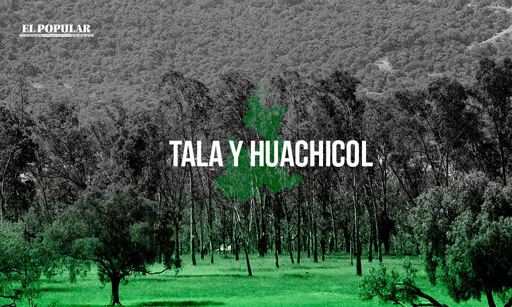 Azota tala ilegal y huachicol a cuatro municipios poblanos
