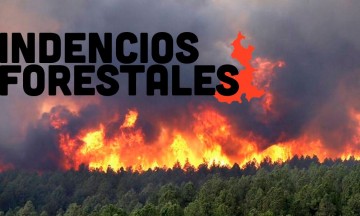 Devastan incendios forestales territorio poblano