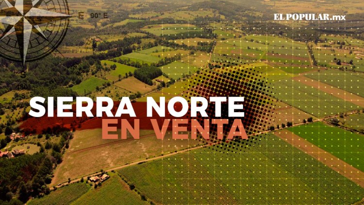 Inmobiliarias rematan la Sierra Norte de Puebla