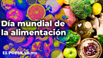 Alimentos y proyectos sociales. 