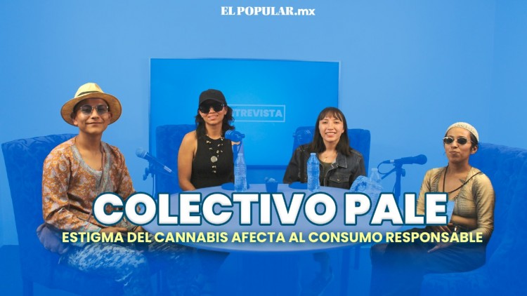 Entrevista con miembros del Parque Autogestivo de Libre Expresión Puebla (PALE)