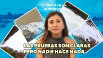 Denuncia daños a la salud por Productos Lácteos Sauce