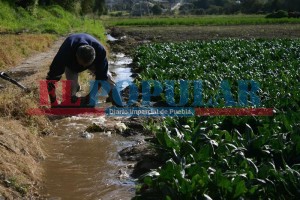 Denuncian campesinos cobros irregulares de agua en Atlixco e Izúcar