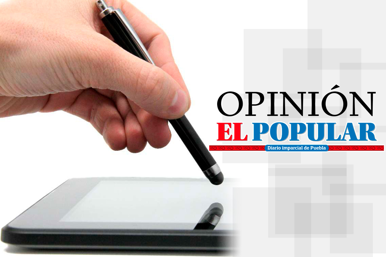 Normalistas y nuevo sistema educativo
