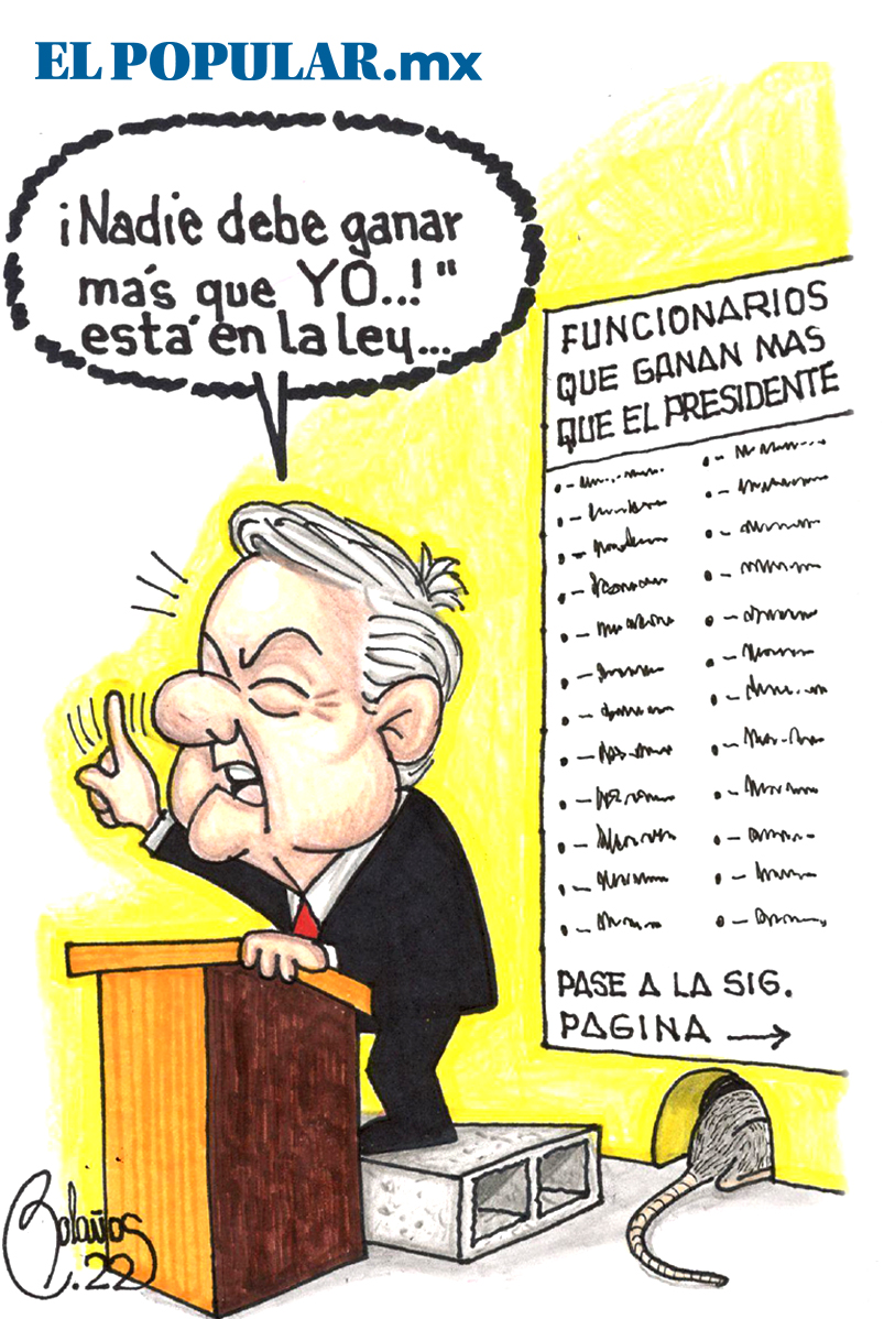 La Constitución dice que...