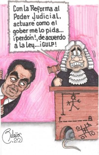 Reforma Judicial a modo