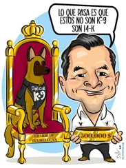 Quien no quisiera ser como perro de San Martín Texmelucan...