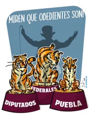 ¡No rugen, maúllan…!