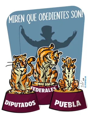 ¡No rugen, maúllan…!