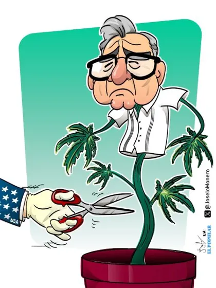 Si ves las plantas de tu vecino gobernador cortar, pon las tuyas a remojar&hellip;