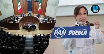 El TEPJF determin&oacute; que el TEEP revise la impugnaci&oacute;n presentada por Guadalupe Leal contra una sanci&oacute;n interna del PAN.