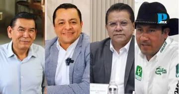 Cuatro perfiles del Partido Verde se registran en Morena como aspirantes a Coordinadores Municipales