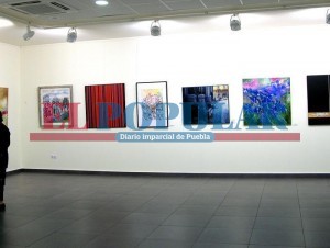 Expondrá Flor Coronado  pinturas en Puebla