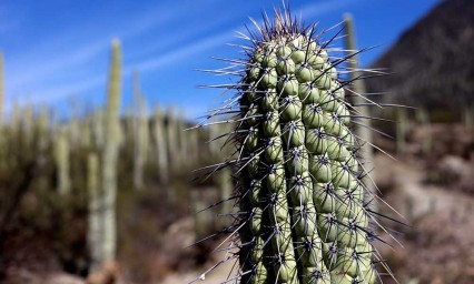 Pone el ojo Netflix en  escenarios de Tehuac&aacute;n