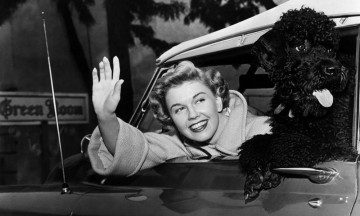 Doris Day, la chica adorable del Hollywood dorado, fallece a los 97 a&ntilde;os