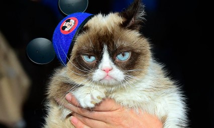 &iexcl;Adi&oacute;s vaqueta! Muere Grumpy Cat