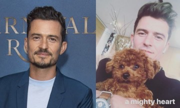 Ofrece Orlando Bloom recompensa por su perrito