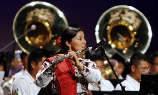 Feliz Día Internacional del Músico 