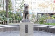 Lealtad Inmortalizada: Día Mundial del Perro Rinde Homenaje a Hachiko