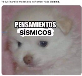 Memes Sísmicos: El Toque de Humor en el 19 de Septiembre