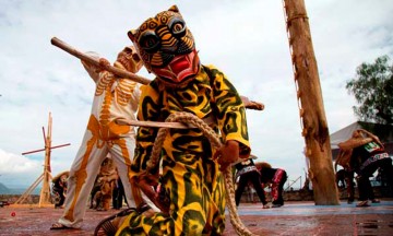 Rechazan piratería en el Día del Tecuan