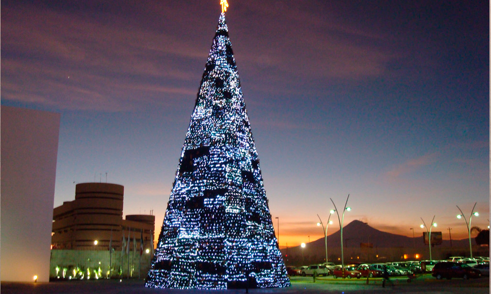 Alista Posada en el Museo Amparo