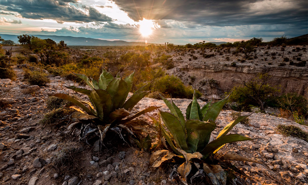 Busca Valle de Tehuacán ingresar al Patrimonio Mundial