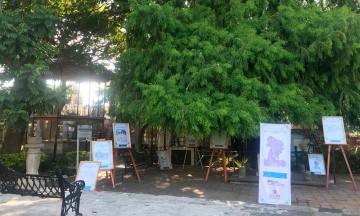 Exponen textos de Parque del Ahuehuete