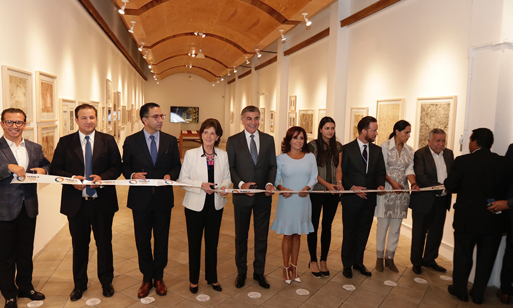 Inauguran Gráfica, muestra de Francisco Toledo