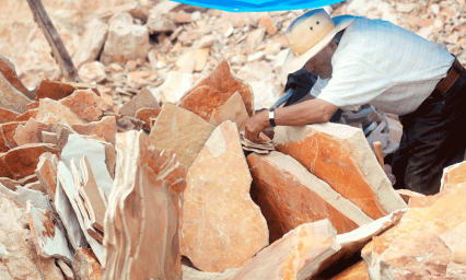 Exhibe Museo Universitario en la Mixteca restos f&oacute;siles