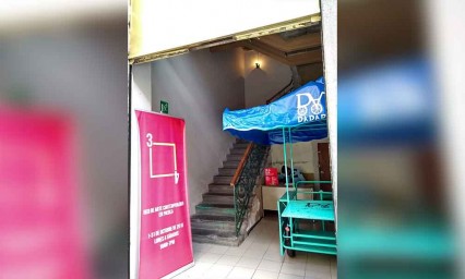 Alistan charla de arte con Reyes Palma