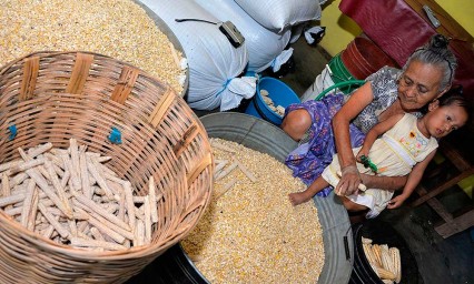 Analizar&aacute;n en diplomado sistemas productivos de Mesoam&eacute;rica